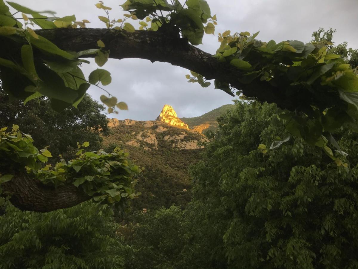 L'Abri La Vall โซเรด ภายนอก รูปภาพ