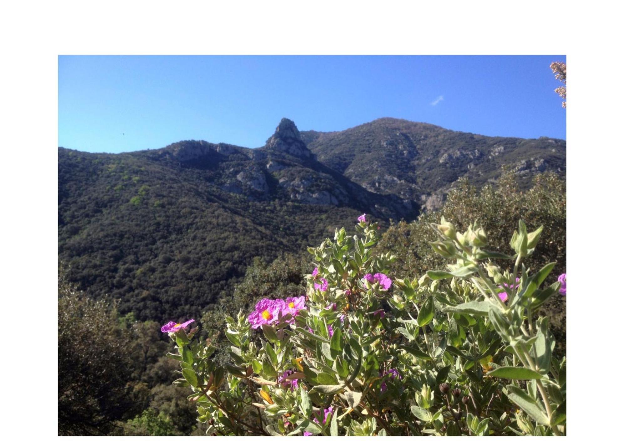 L'Abri La Vall โซเรด ภายนอก รูปภาพ